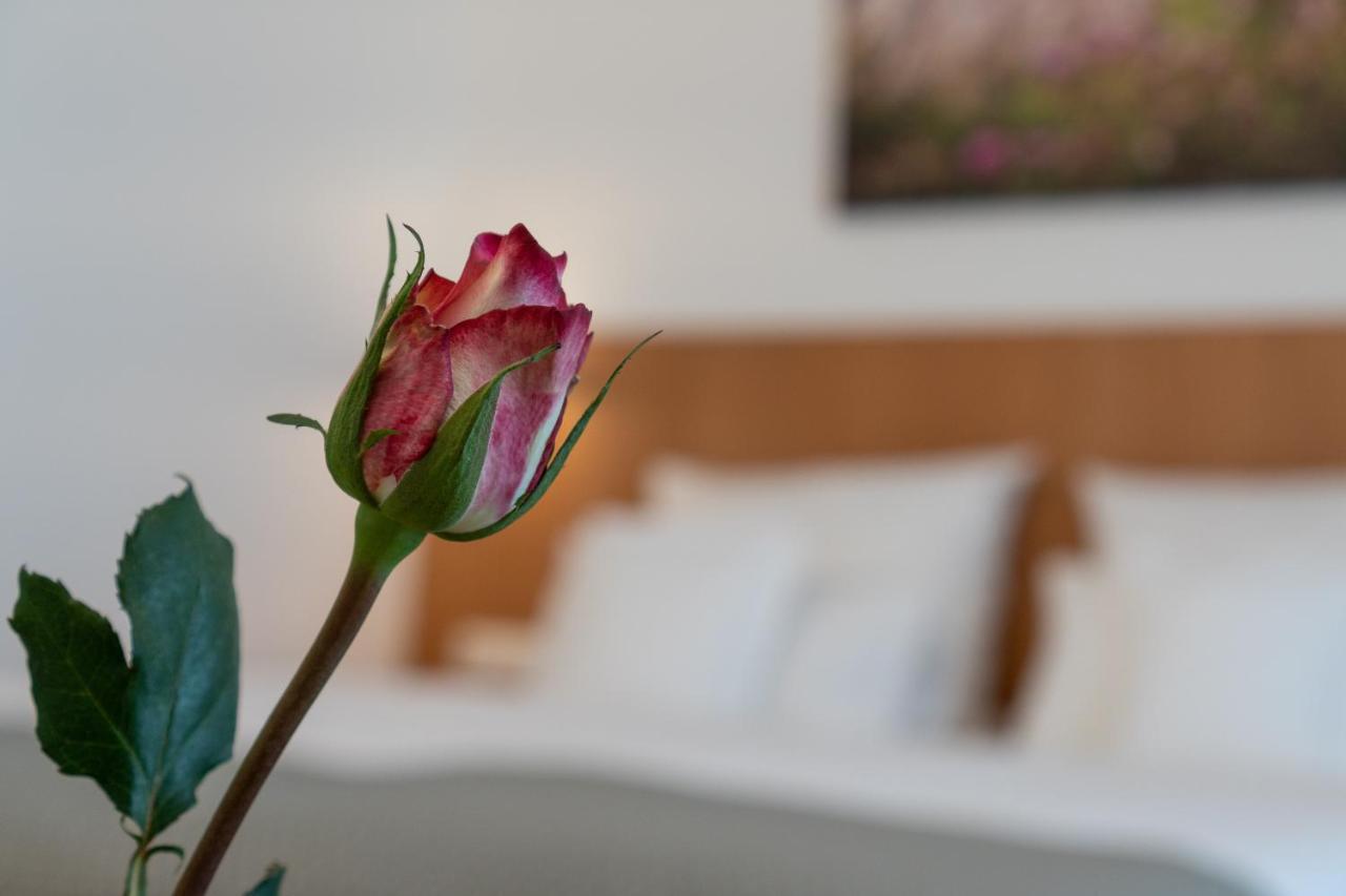 Hotel Elysee 셀리겐슈타트 외부 사진